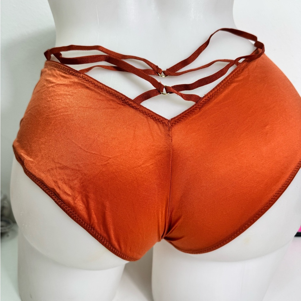 Victoria's Secret terracotta Panties Sz large NWT - Picture 2 of 3
